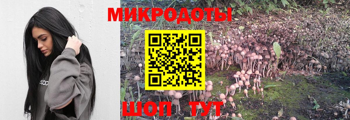 Галлюциногенные грибы мухоморы Елизово