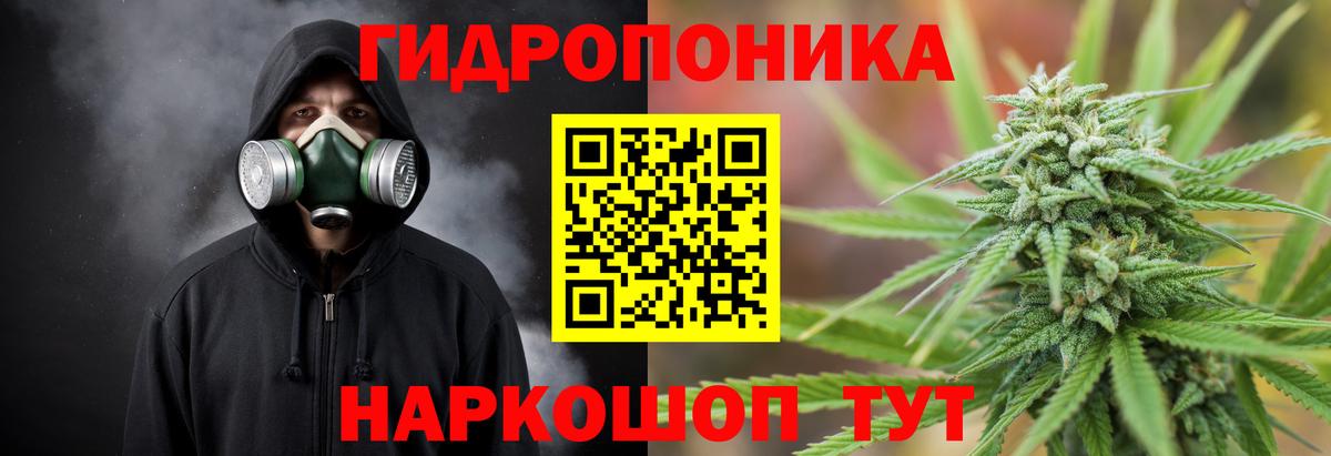 Канабис MAZAR  Вход с VPN  Бошки Шишки сатива  Елизово  Бошки марихуана тримм  Шишки марихуана OG Kush 